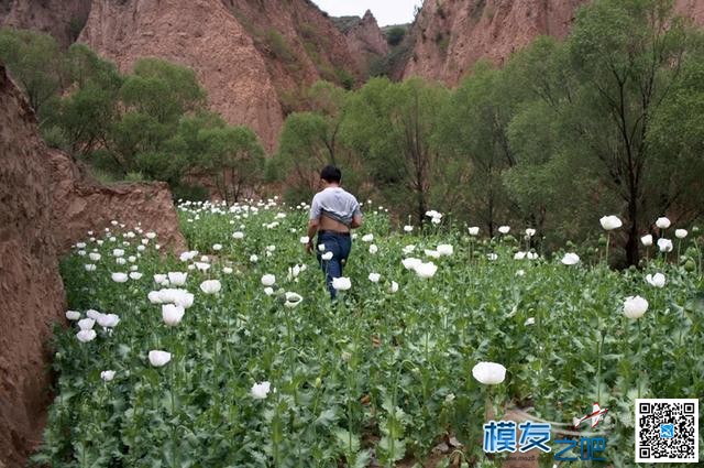 组图：陕西榆林警方启用无人航测机查罂粟种植 无人机,天线,2014年7月2日,2014年7月,陕西榆林 作者:admin 8193 