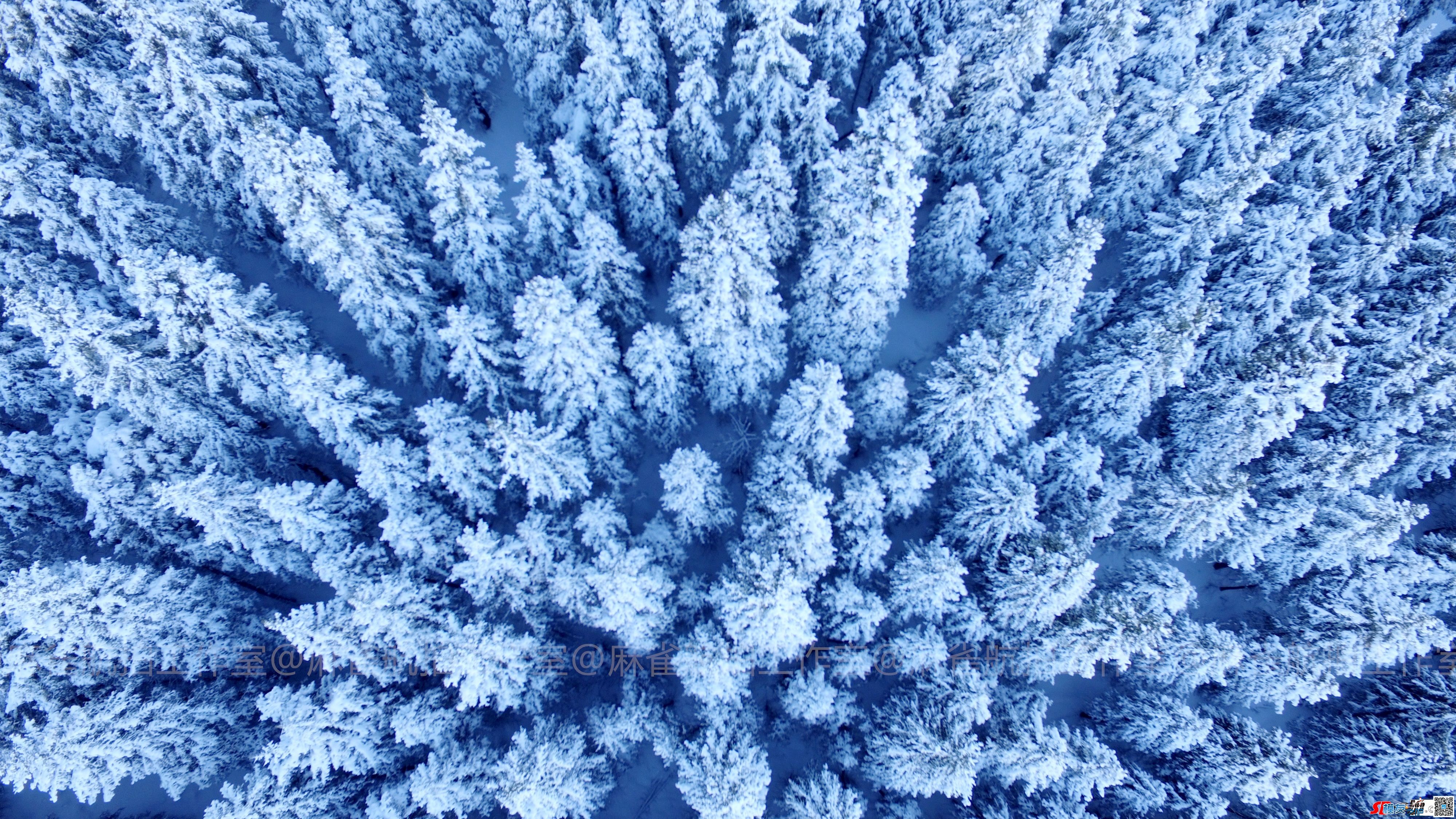 教你如何在冬天爽飞无人机，顺便带你领略新疆的雪天 无人机,电池,大疆,幕后花絮,黑色的 作者:飞将军 7540 