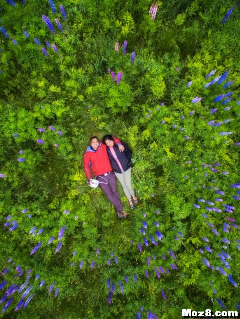 上帝视角看世界 上帝视角,手机电脑,电脑壁纸,看世界,上帝 作者:fpvfpv 3339 