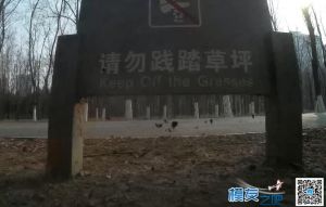 【北京FPV穿越日记七 《贴地飞》】多种树林一镜穿越练习