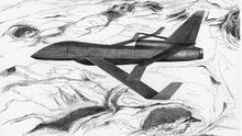 准备做类似的串列翼飞机 类似翼狐网 作者:14诺 1930 