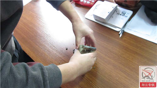 不离不弃的狗！睡了一年零五个月的2狗让狼找到了！ 模型,gopro 作者:admin 6387 