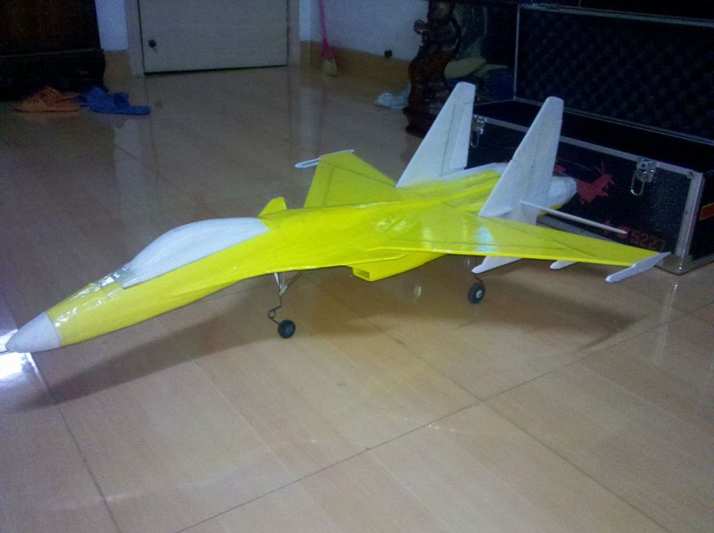 （福安航模）自制DG600玻璃钢滑翔机，增加论坛人气 滑翔机,固定翼滑翔机 作者:xiaoyer 9581 