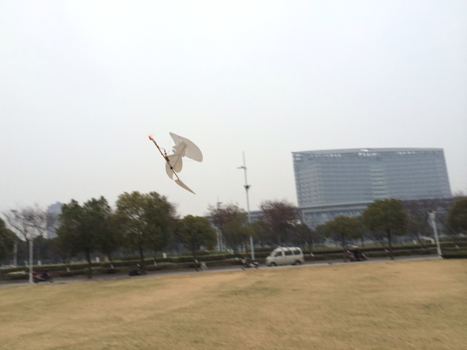 周日大巫婆爽飞 巫婆是什么人 作者:水车 8538 