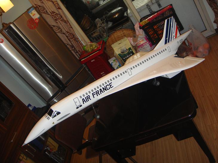 2013年末收官之作“协和空客”原创首发 模型,电池,舵机,电调,图纸 作者:翼虎5856 6942 