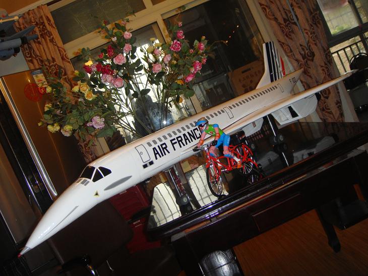 2013年末收官之作“协和空客”原创首发 模型,电池,舵机,电调,图纸 作者:翼虎5856 2701 