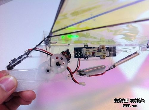 全力打造 FPV 扑翼机（更新动力学仿真）转 FPV 作者:duan123 6306 