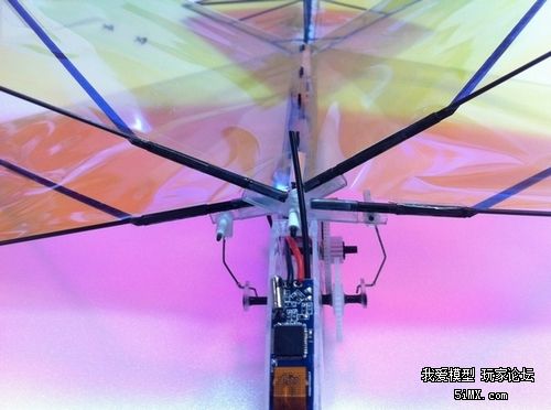 全力打造 FPV 扑翼机（更新动力学仿真）转 FPV 作者:duan123 9858 