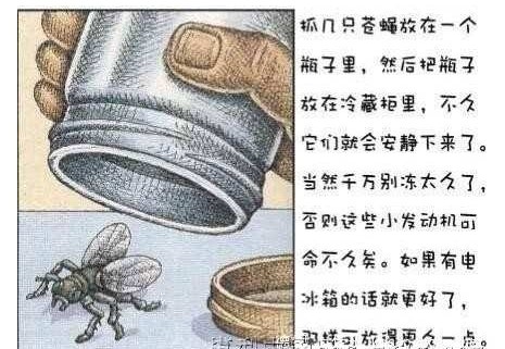 手把手教你制作最小、最小、最小的固定翼 固定翼 作者:飞行者 3530 