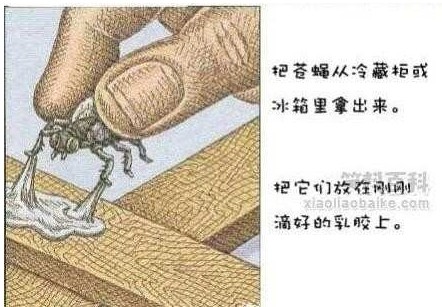 手把手教你制作最小、最小、最小的固定翼 固定翼 作者:飞行者 8355 