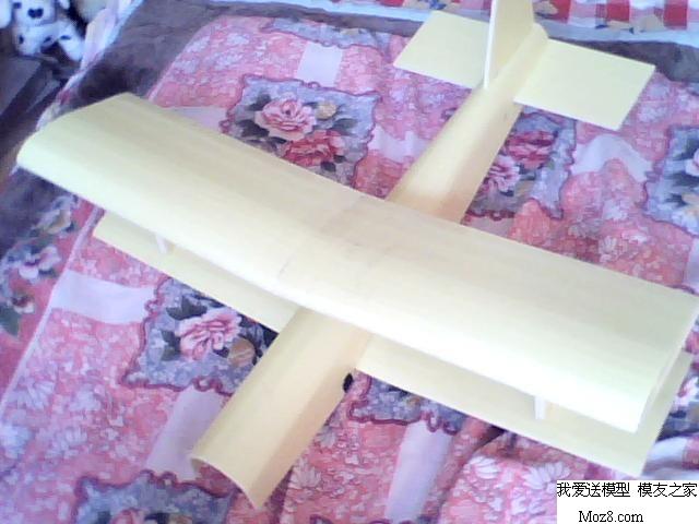 几年前DIY双翼机 DIY,现代双翼机,虎蛾双翼机,慢飞双翼机,经典双翼机 作者:无机翼的飞机8 2255 