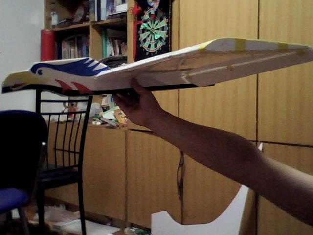 看我做的 雏鹰机 做的,雏鹰 作者:无机翼的飞机8 1284 