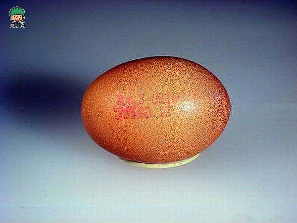 鸡蛋壳做的小飞机 小鸡蛋壳出来,鸡蛋壳小制作 作者:狂情怒放 1974 