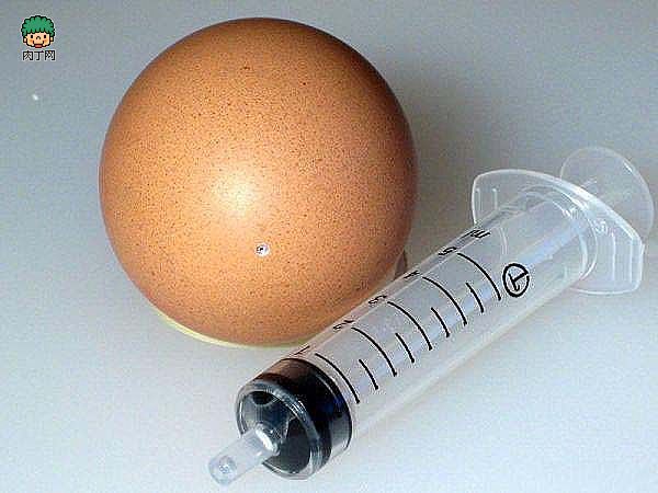 鸡蛋壳做的小飞机 小鸡蛋壳出来,鸡蛋壳小制作 作者:狂情怒放 2827 