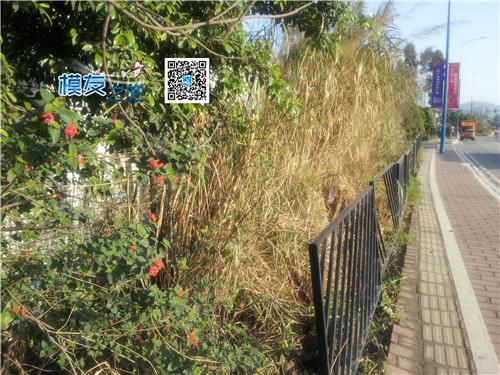 狼迹广州！印象天河！ 广州,印象 作者:admin 7141 