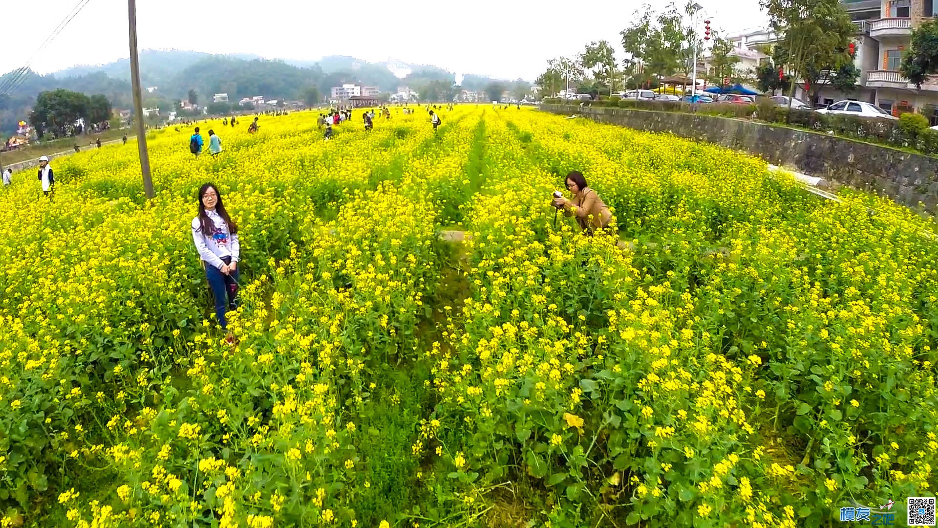 [冰咖啡] 春天，看看油菜花 youku,油菜花,春天,看看 作者:冰咖啡 3666 