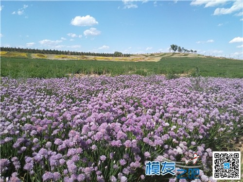 蓝天、白云、草原、水手四轴和飞天狼 四轴 作者:飞天狼 1860 