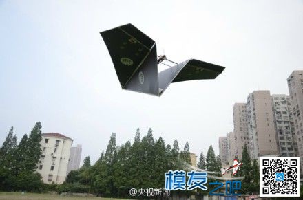 【最大遥控电动“纸飞机”试飞成功】 上海同济大学,f1赛车,同济大学,赛车场,最大的 作者:飞来峰 2781 