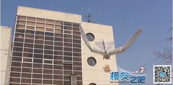 【moz8-2014】仿生鸟 1:35 大楼前演绝技 1:55 无动力优雅滑 出头鸟仿生鸟,鸟类仿生产品,仿声鸟芭芭拉,仿生鸟原理 作者:精灵 1569 