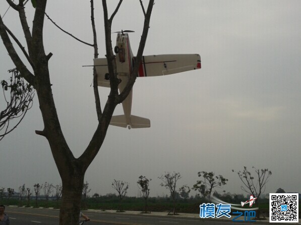 炸鸡视频有奖征集评选到此盖楼........  作者:4029813 3850 