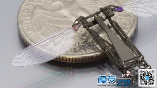 高科技玩具：硬币般大小的扑翼机 机器人,扑翼机,陶瓷材料,高科技,碳纤维 作者:admin 2581 