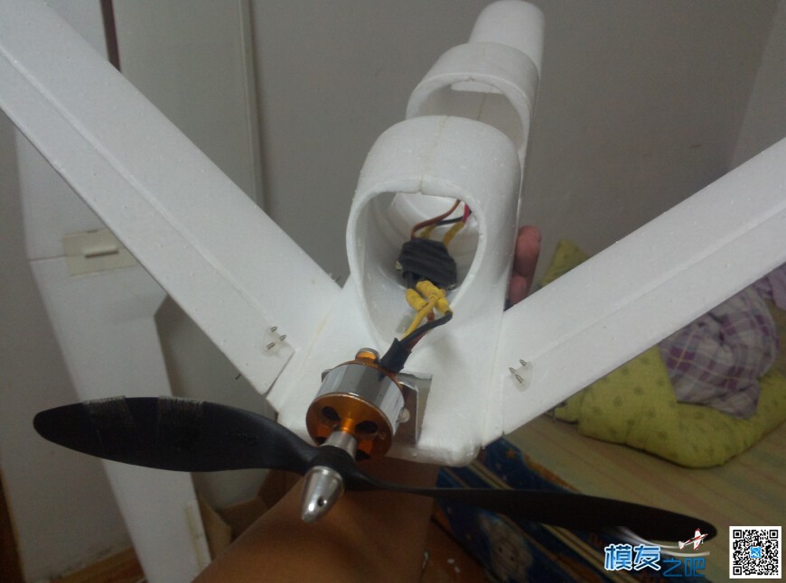 迟到的全球鹰…… 全球鹰 作者:广西星尘 3972 