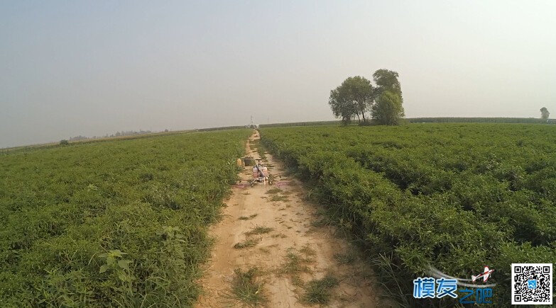 飞防防治病虫害，辣椒地作业。 病虫害,防治,辣椒,作业,话说 作者:远洋油轮-_-b 2511 