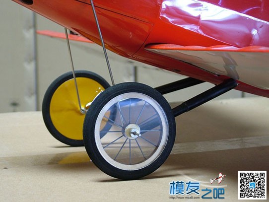 轻木信天翁 信天翁 作者:流年 8714 