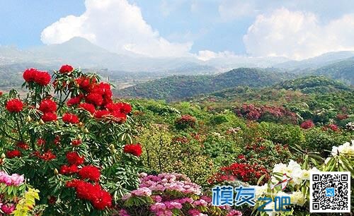 共享一组乡村美景 飞行器,套装 作者:34020 8106 