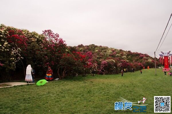共享一组乡村美景 飞行器,套装 作者:34020 4451 