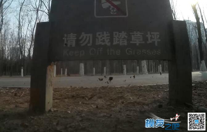 【北京FPV穿越日记七 《贴地飞》】多种树林一镜穿越练习 北京,日记 作者:yyyyy34 2920 
