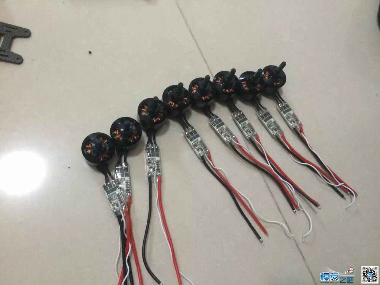 飞盈佳乐预祝海浪挺进16强！（附海浪比赛视频） 盈佳 作者:Charmant 6768 