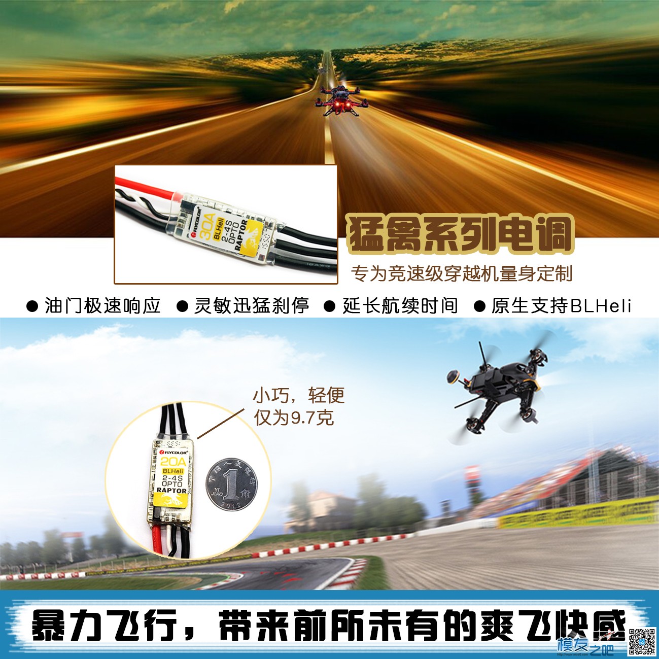 飞盈佳乐预祝海浪挺进16强！（附海浪比赛视频） 盈佳 作者:Charmant 2287 