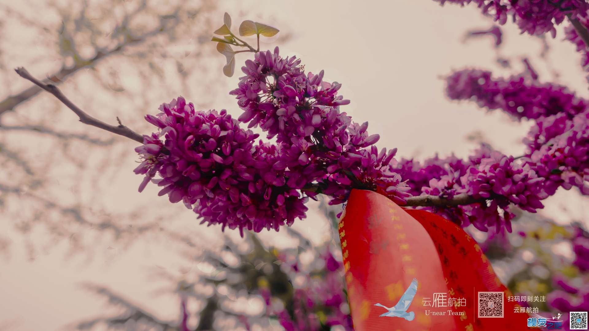 飞手张泽雨林：初期的航拍团队怎么快速积累订单？ 无人机,航模,多旋翼,固定翼,电池 作者:wx_dTOFc8hC 7162 