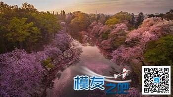 日本摄影师无人机拍摄樱花海：如童话世界 无人机,航模,涡喷,日本摄影师,日本东京 作者:中翼网 3213 