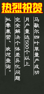 热烈庆祝：马歇尔四叶草天线量产成功！！！ 四叶草,马歇尔 作者:lgaiio 6688 