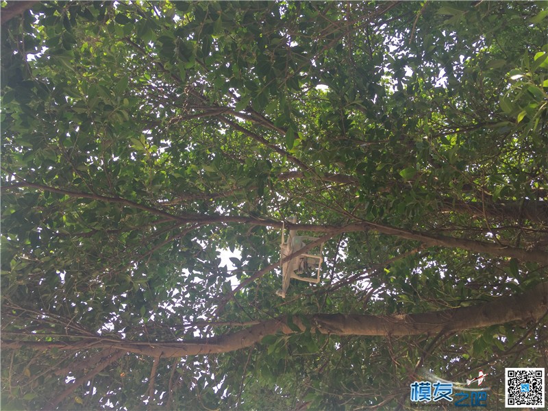 周末约飞松山湖，模友玩心跳精灵上树 松山湖,精灵 作者:ZV紫微 3740 