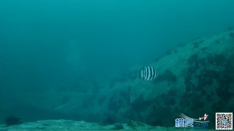 测试飞萤7S相机的水下拍摄效果 鹰眼飞萤相机6s,飞萤相机app 作者:skyline 6448 