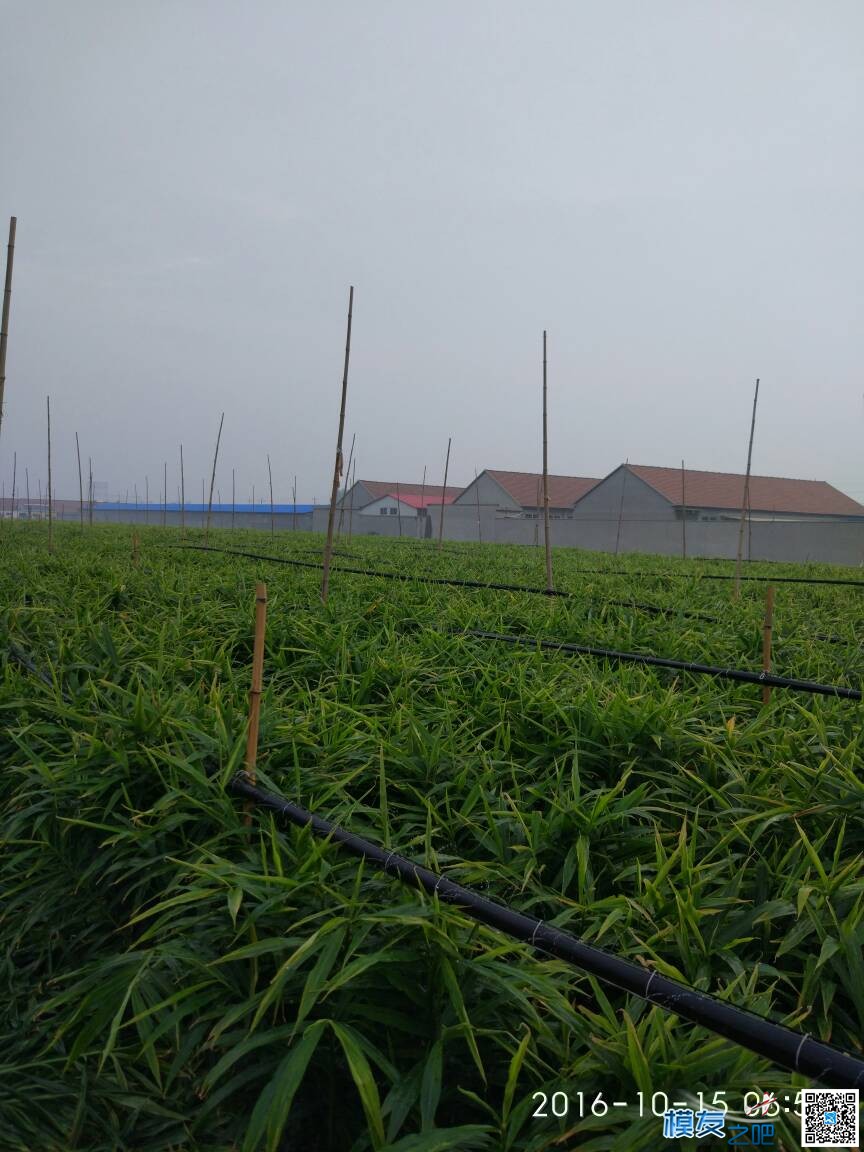 狼哥送的论坛车贴收到，感谢狼哥。。。。。 为什么叫狼哥,狼之歌好看吗,狼哥是谁 作者:xiao小菜鸟 6484 