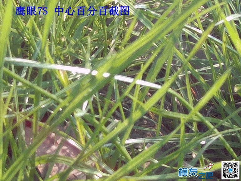鹰眼7S VS 银狗四 之不公平对比测试 天气 作者:飞将军 6137 