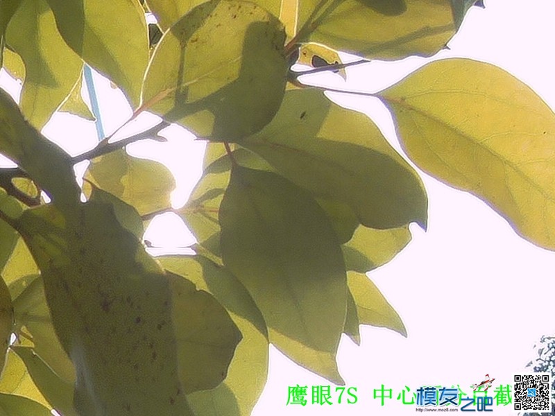 鹰眼7S VS 银狗四 之不公平对比测试 天气 作者:飞将军 8066 