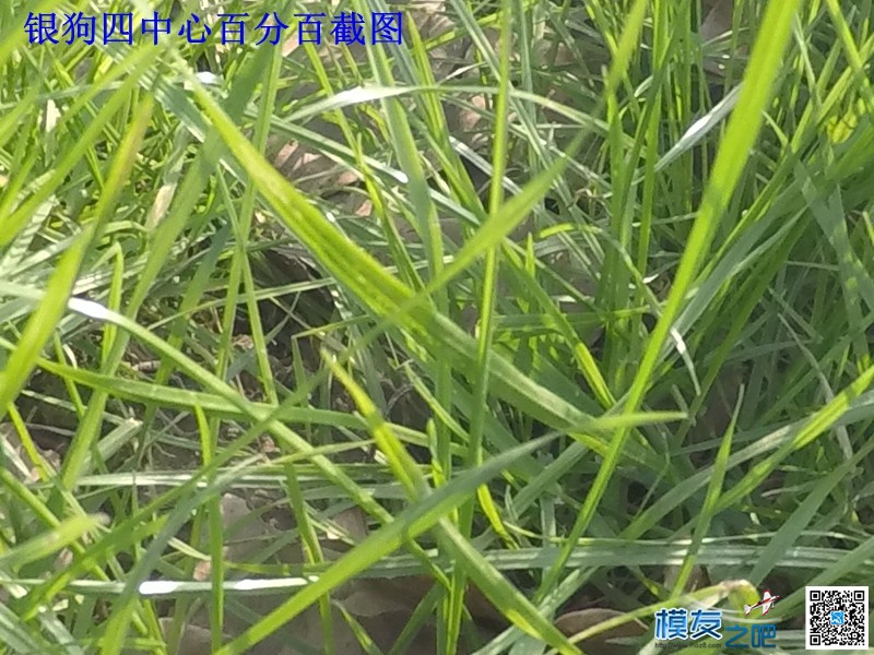 鹰眼7S VS 银狗四 之不公平对比测试 天气 作者:飞将军 3 