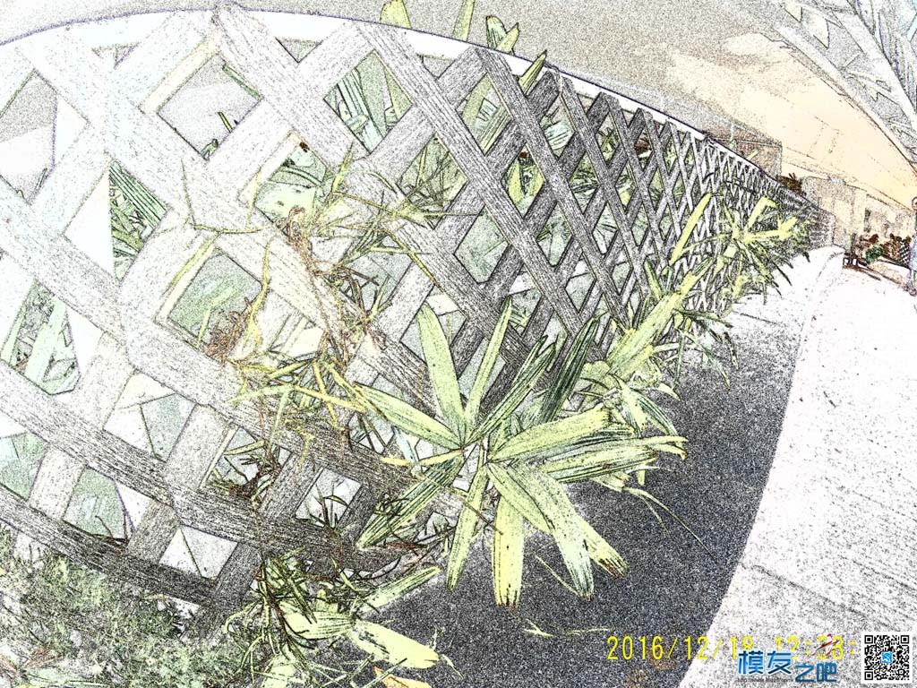 飞萤7S 特效拍照实测 萤是谁,缪风萤,一条萤,管萤,萤然 作者:Cherry.C 5663 