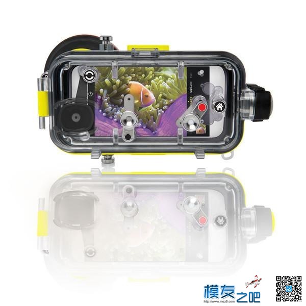 iPhone7水下拍鲨鱼 iPhone,摄影师,爱好者,巴哈马,防水壳 作者:疯狂的土豆 3921 