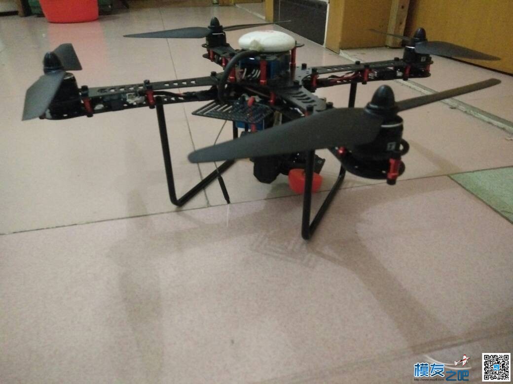 可能是史上看起来最糟心的猛禽360  作者:a6521585 8918 