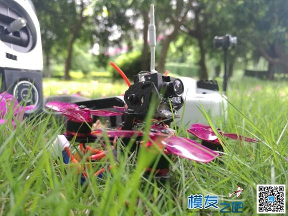 我不作死 小角落,我不,作死,问下,不能 作者:jcofee 411 