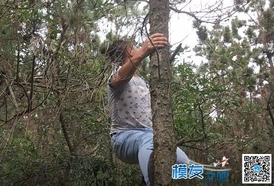 航模坠机上树怎么办? 人变猴子呗! 航模 作者:lancer 7296 