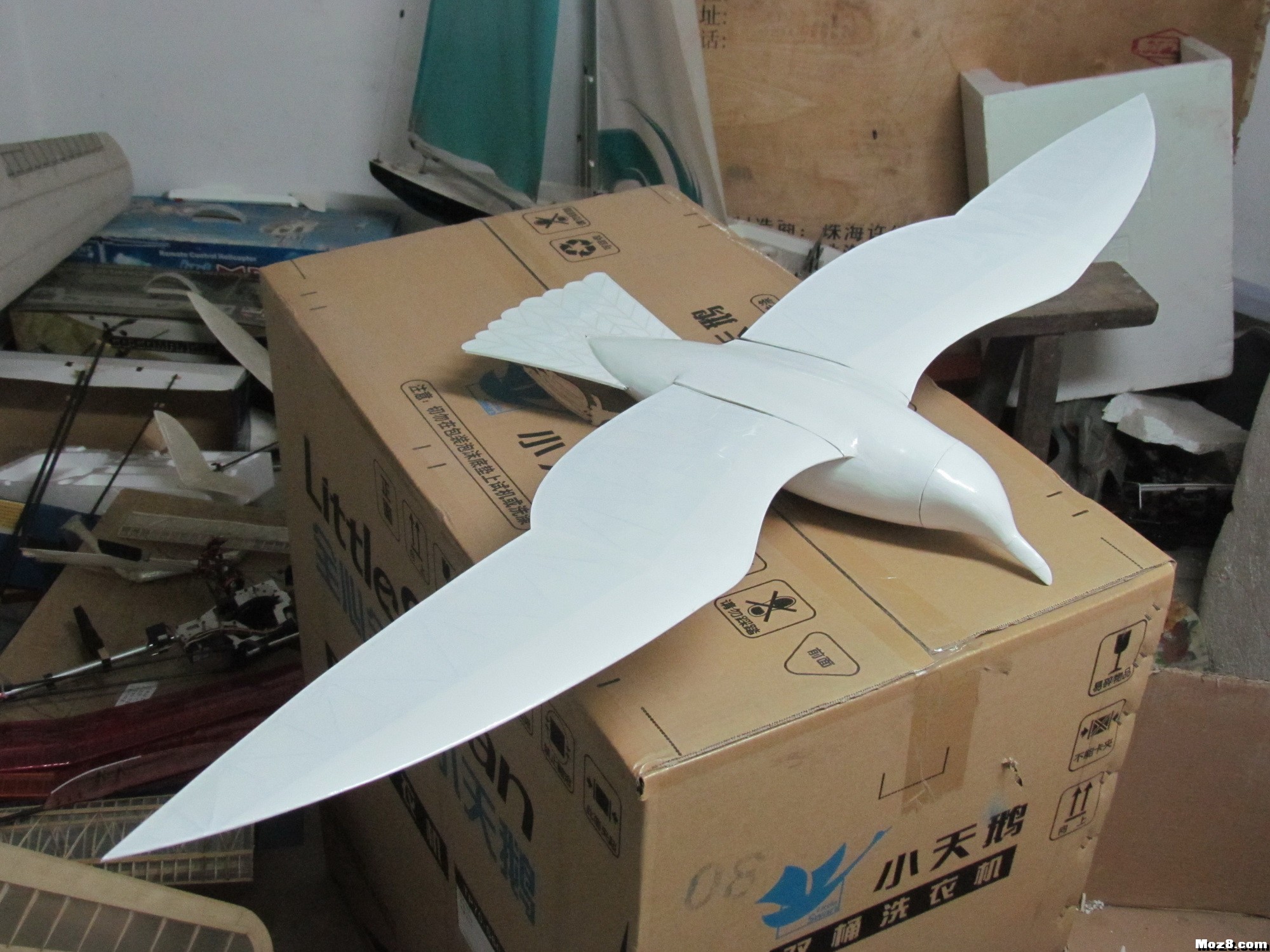 2012年设计的海鸥 海鸥设计草图,海鸥元素设计,海鸥创意设计,海鸥设计图片,海鸥平面设计 作者:马头 4827 