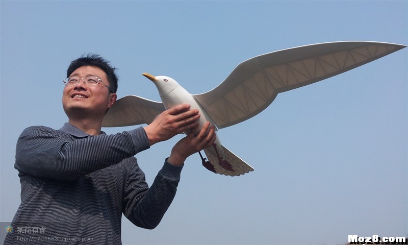 2012年设计的海鸥 海鸥设计草图,海鸥元素设计,海鸥创意设计,海鸥设计图片,海鸥平面设计 作者:马头 4326 