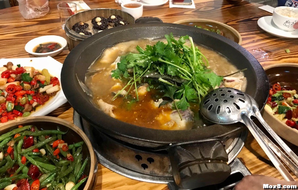 上九天揽月，下五洋捉鳖 舵机,电调,接收机 作者:shawnyin 3527 